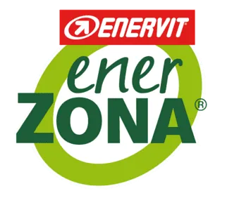 enerzona-logo